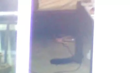 Se folla a mujeres salvajes y se va a follar a algunas perras ver videos pornos cachondos más
